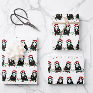 Scottish Fold Kerstproblemen Inpakpapier Vel