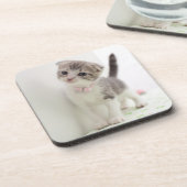 Scottish Fold Kitten Drankjes Onderzetter (Linkerzijde)