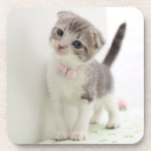Scottish Fold Kitten Drankjes Onderzetter (Voorkant)