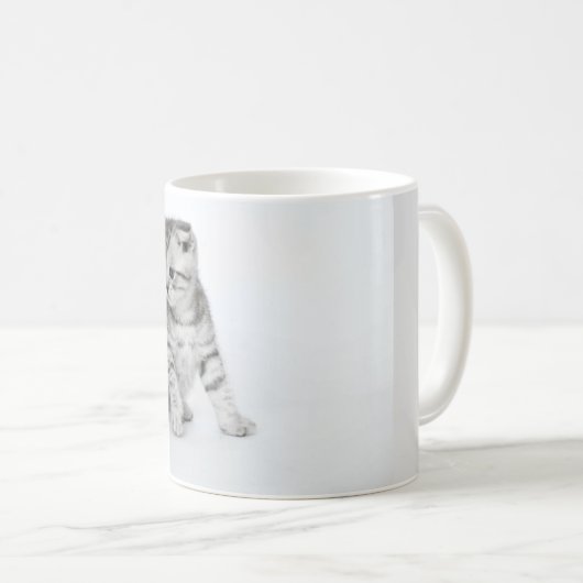 Scottish Fold Kitten Koffiemok (Voorkant rechts)