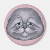 Scottish Fold Kitten Magneet (Voorkant)