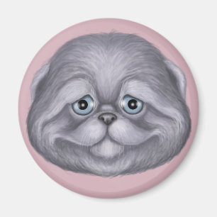 Scottish Fold Kitten Magneet