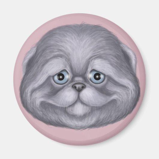 Scottish Fold Kitten Magneet (Voorkant)