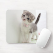 Scottish Fold Kitten Muismat (Met muis)