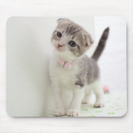 Scottish Fold Kitten Muismat (Voorkant)