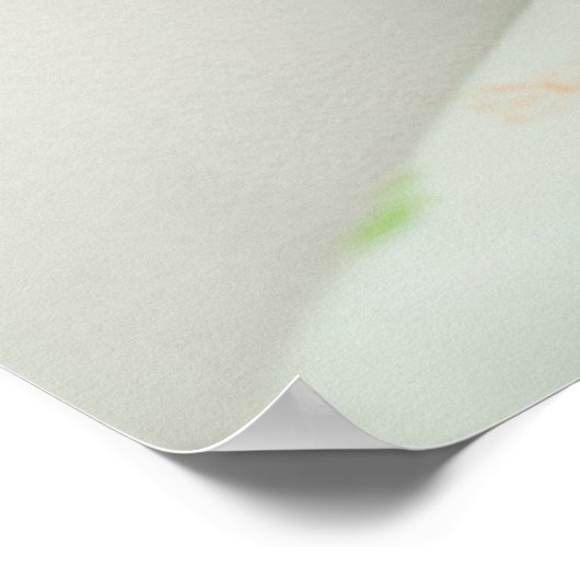 Scottish Fold Kitten Poster (Hoek)