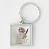 Scottish Fold Kitten Sleutelhanger (Voorkant)