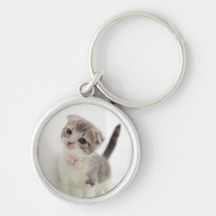 Scottish Fold Kitten Sleutelhanger