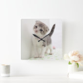 Scottish Fold Kitten Vierkante Klok (Huis)