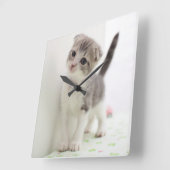 Scottish Fold Kitten Vierkante Klok (Hoek)