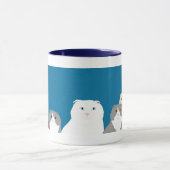 Scottish Fold Mok (Midden)