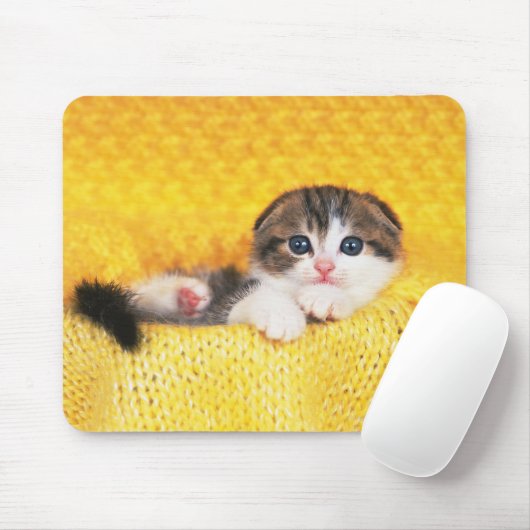 Scottish Fold Muismat (Met muis)