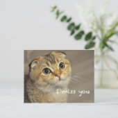 Scottish fold noodcat miss you postcard briefkaart (Staand voorkant)