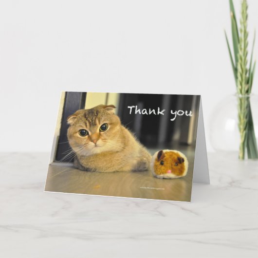 scottish fold noodcat thank you card bedankkaart (Voorkant)