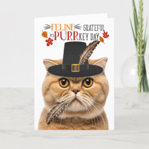 Scottish Fold Sinaasappel Cat dankbaar voor PURRke Feestdagen Kaart