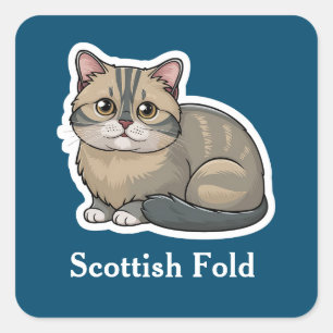 Scottish Fold Vierkante Sticker