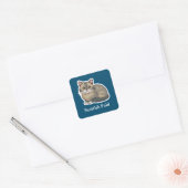 Scottish Fold Vierkante Sticker (Envelop)