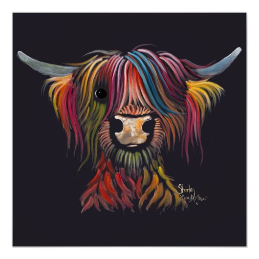 Scottish Hairy Highland Koe "OLIVER" Poster (Voorkant)