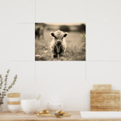 Scottish Highland Calf Baby Koe Miniature Sepia Poster (Keuken)