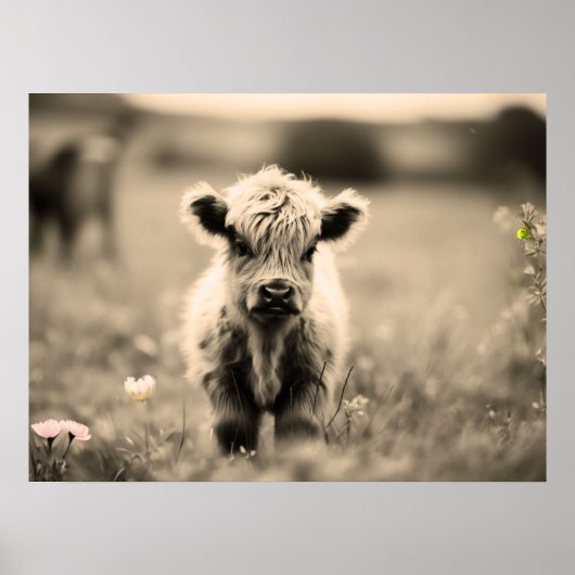 Scottish Highland Calf Baby Koe Miniature Sepia Poster (Voorkant)
