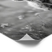 Scottish Highland Calf Baby Koe Poster (Hoek)