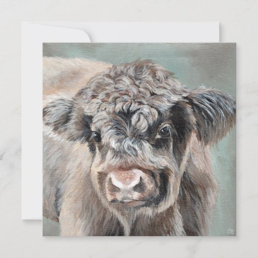 Scottish Highland Calf on Green (Voorkant)