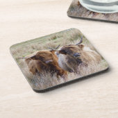 Scottish Highland Cattle Bier Onderzetter (Linkerzijde)