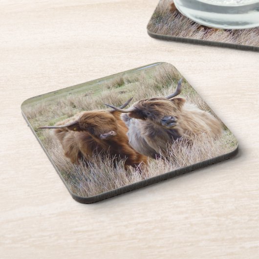 Scottish Highland Cattle Bier Onderzetter (Linkerzijde)