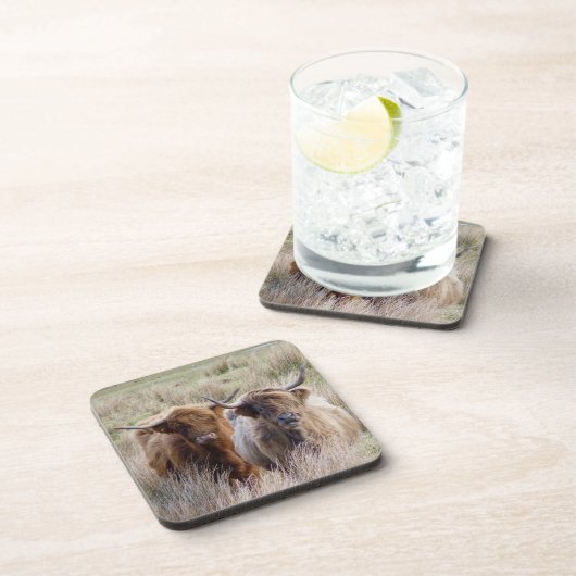 Scottish Highland Cattle Bier Onderzetter (Rechterzijde)