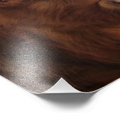 Scottish Highland Cattle ~ Foto Foto Afdruk (Hoek)