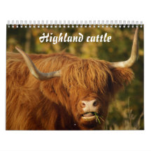 Scottish Highland Cattle