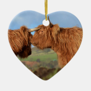 Scottish Highland Cattle Keramisch Ornament