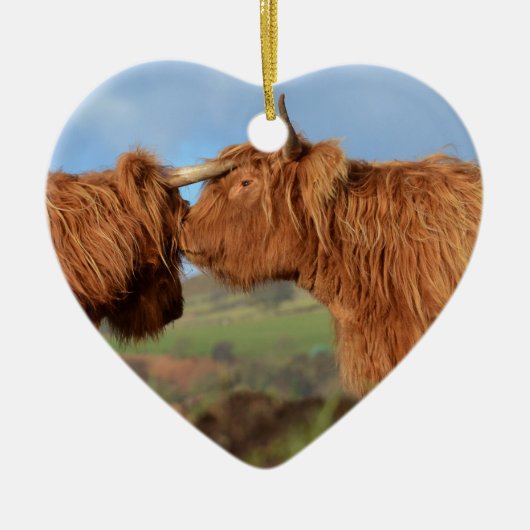 Scottish Highland Cattle Keramisch Ornament (Voorkant)