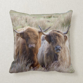 Scottish Highland Cattle Kussen