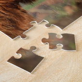 Scottish Highland Cattle Legpuzzel (Zijkant)