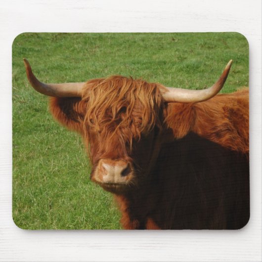 Scottish Highland Cattle Mousepad Muismat (Voorkant)