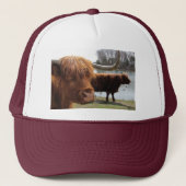 Scottish Highland Cattle ~ pet (Voorkant)