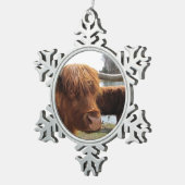 Scottish Highland Cattle ~ Pewter ornament (Rechts)