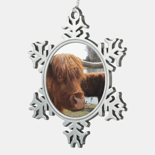 Scottish Highland Cattle ~ Pewter ornament (Rechts)