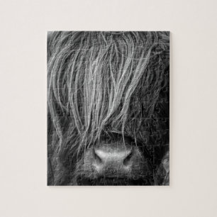 Scottish Highland Cattle - Schotland Legpuzzel