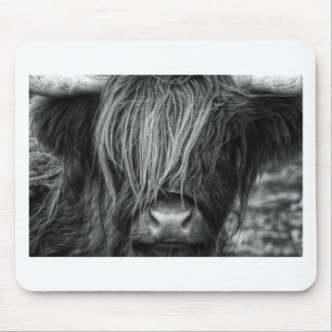 Scottish Highland Cattle - Schotland Muismat