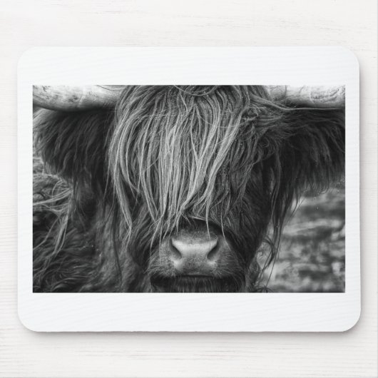 Scottish Highland Cattle - Schotland Muismat (Voorkant)