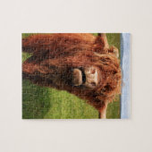 Scottish Highland Cattle - Scotland Legpuzzel (Horizontaal)