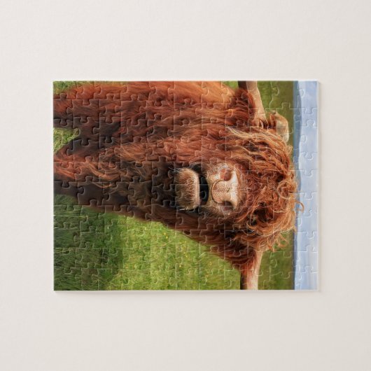 Scottish Highland Cattle - Scotland Legpuzzel (Horizontaal)