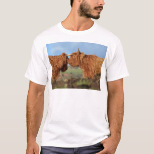 Scottish Highland Cattle T-shirt