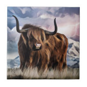 Scottish Highland Cattle Tegeltje (Voorkant)