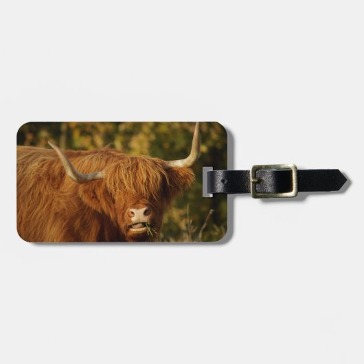 Scottish Highland Cow Bagagelabel (Voorkant horizontaal)