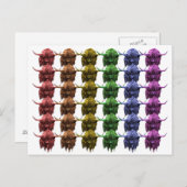Scottish Highland Cow Briefkaart (Voorkant / Achterkant)
