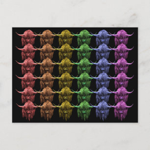 Scottish Highland Cow Briefkaart