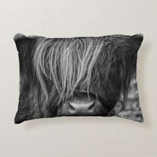Scottish Highland Cow, Cattle, Bull Accent Kussen